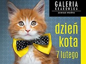VII Dzień Kota w Galerii Krakowskiej